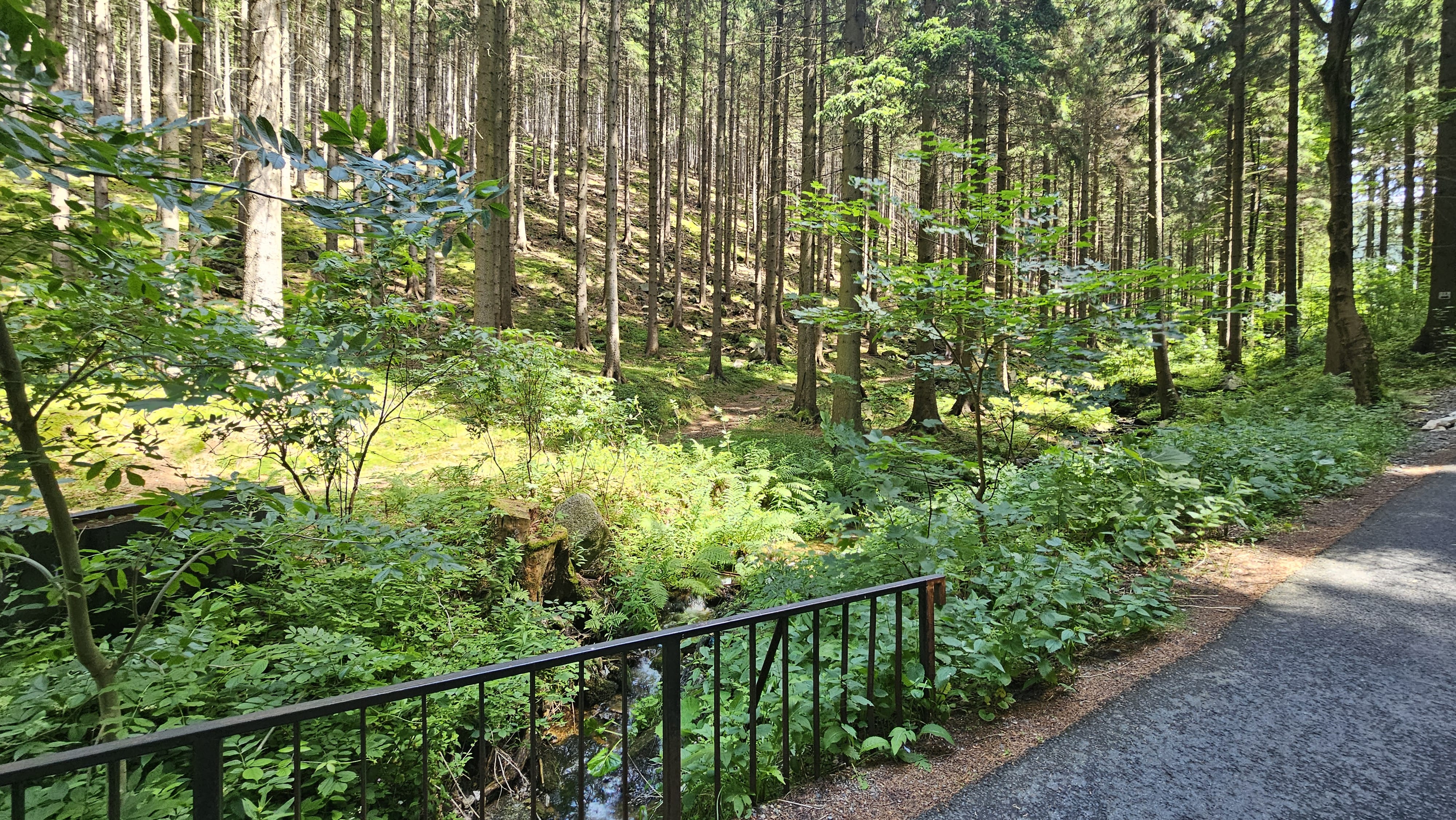 Kowary - Place near Uranium Adit